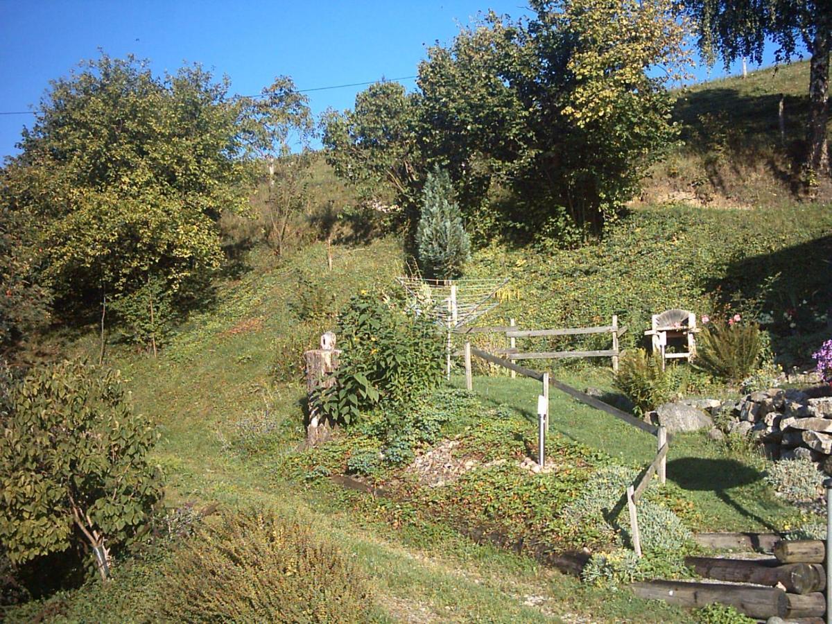 Chalet-Gite Berbuche Sainte-Croix-aux-Mines Экстерьер фото