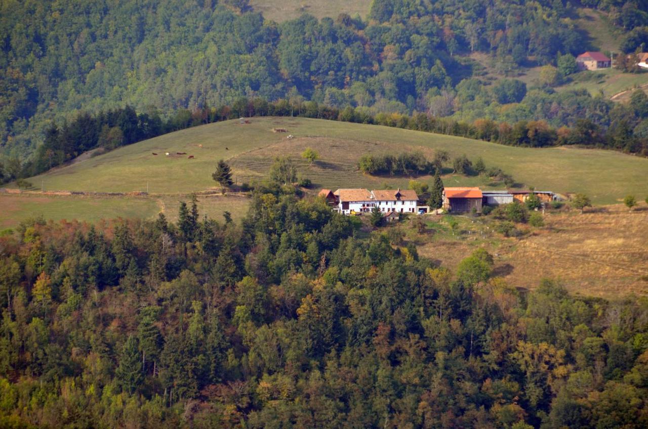 Chalet-Gite Berbuche Sainte-Croix-aux-Mines Экстерьер фото